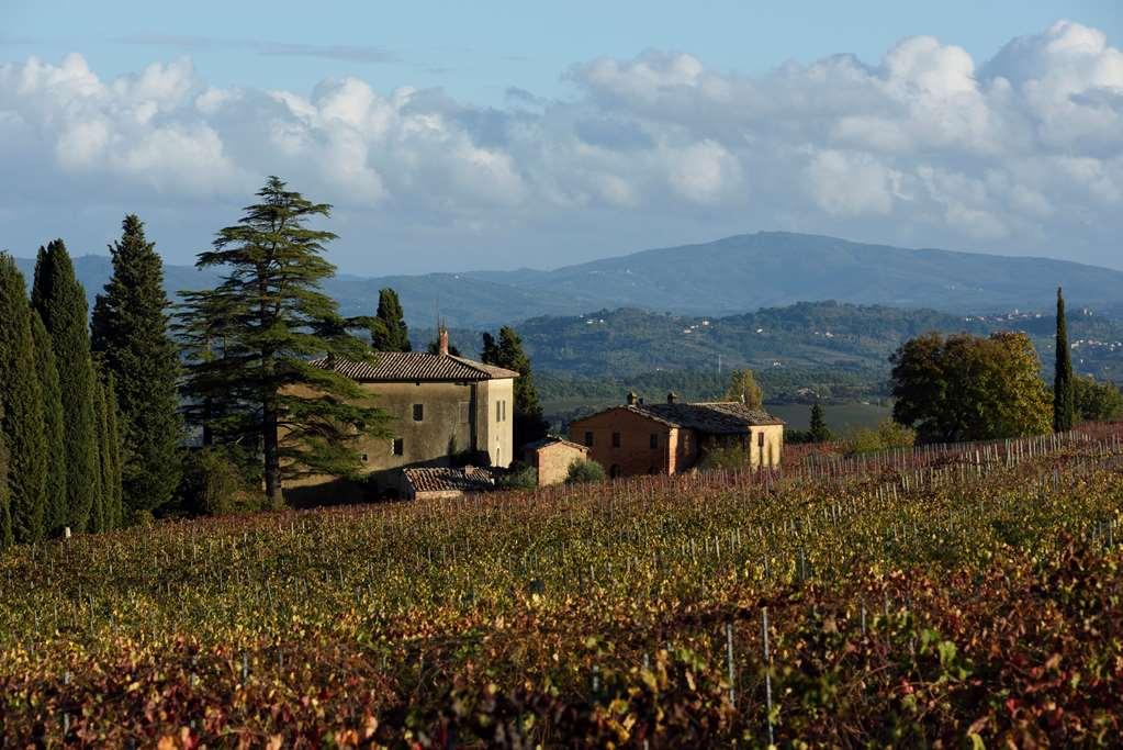Alloggio per agriturismo Relais Grazianella | Esperienze Acquaviva (Montepulciano)