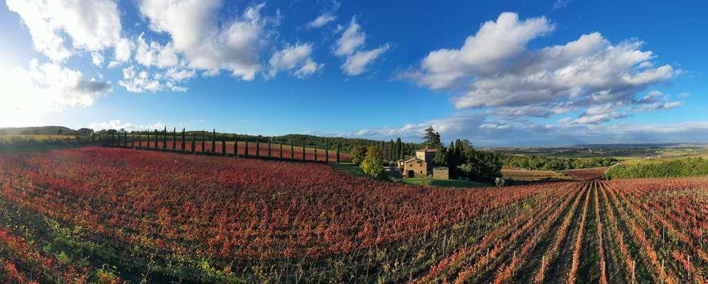 Relais Grazianella | Esperienze * Acquaviva (Montepulciano)