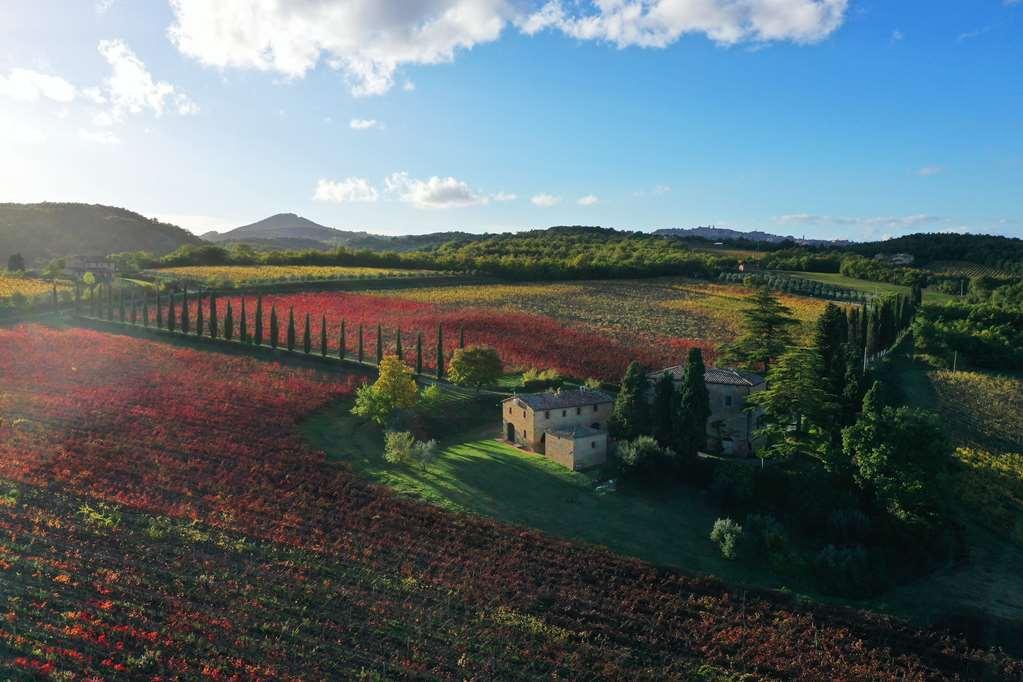 Alloggio per agriturismo Relais Grazianella | Esperienze